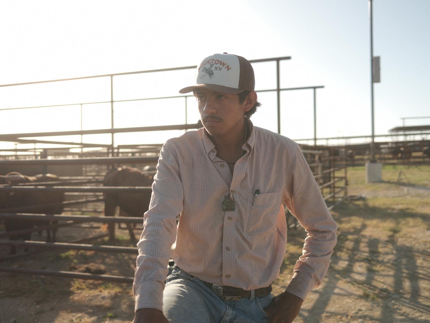A man in a Rural Cloth Bucktown Original Hat, striped shirt, and jeans stands by metal livestock pens at a sunlit outdoor cattle yard, with cattle visible in the background.